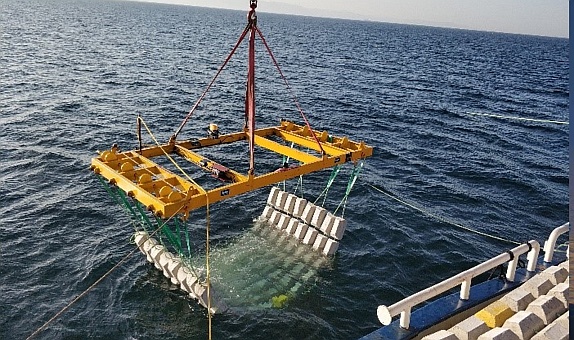 BOTAŞ'ın Doğal Gaz Boru Hattının Bakım Çalışmaları Yapı ve Yapı İnşaat'a Emanet